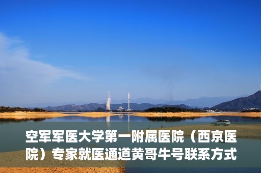 空军军医大学第一附属医院（西京医院）专家就医通道黄哥牛号联系方式，空军军医大学第一附属医院专家就医绿色通道与黄哥牛号联系方式揭秘