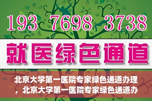 北京大学第一医院专家绿色通道办理，北京大学第一医院专家绿色通道办理详解，一站式解决就医难题