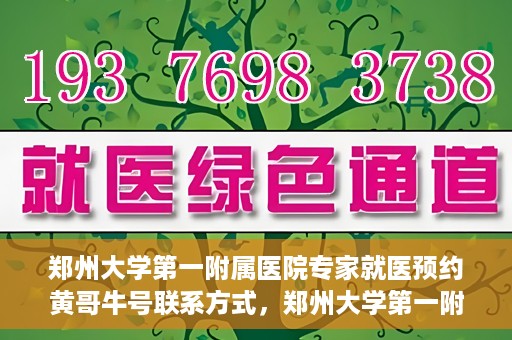 郑州大学第一附属医院专家就医预约黄哥牛号联系方式，郑州大学第一附属医院专家就医预约，黄哥牛号联系方式全解析