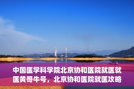 中国医学科学院北京协和医院就医就医黄哥牛号，北京协和医院就医攻略，黄哥牛号助您轻松挂号就医