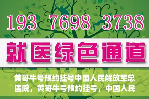 黄哥牛号预约挂号中国人民解放军总医院，黄哥牛号预约挂号，中国人民解放军总医院就医新体验