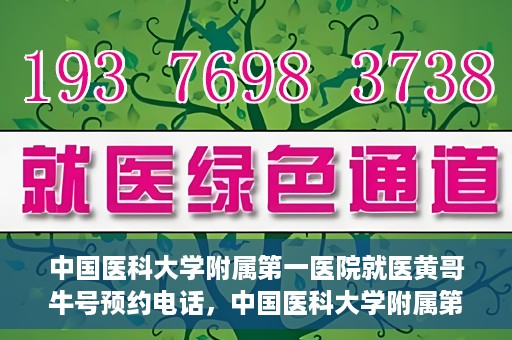 中国医科大学附属第一医院就医黄哥牛号预约电话，中国医科大学附属第一医院就医预约电话及黄哥牛号预约攻略