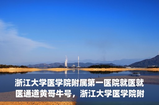 浙江大学医学院附属第一医院就医就医通道黄哥牛号，浙江大学医学院附属第一医院就医通道，黄哥牛号助您轻松挂号就医