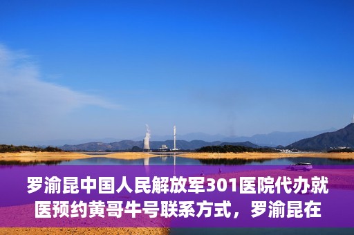 罗渝昆中国人民解放军301医院代办就医预约黄哥牛号联系方式，罗渝昆在解放军301医院的预约就医助手黄哥牛联系方式及代办服务解析