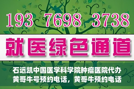 石远凯中国医学科学院肿瘤医院代办黄哥牛号预约电话，黄哥牛预约电话助您轻松预约石远凯教授——中国医学科学院肿瘤医院就医服务