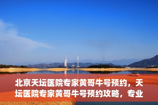 北京天坛医院专家黄哥牛号预约，天坛医院专家黄哥牛号预约攻略，专业医疗资源的便捷通道
