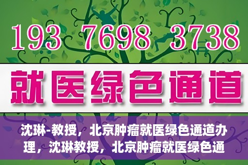 沈琳-教授，北京肿瘤就医绿色通道办理，沈琳教授，北京肿瘤就医绿色通道详解及办理指南