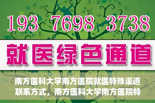 南方医科大学南方医院就医特殊渠道联系方式，南方医科大学南方医院特殊渠道就医指南及联系方式揭秘