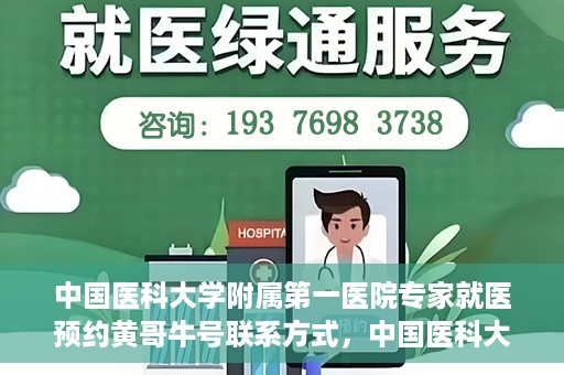 中国医科大学附属第一医院专家就医预约黄哥牛号联系方式，中国医科大学附属第一医院专家就医预约联系方式揭秘，黄哥牛号助您轻松挂号就医