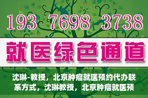 沈琳-教授，北京肿瘤就医预约代办联系方式，沈琳教授，北京肿瘤就医预约代办的权威联系方式揭秘