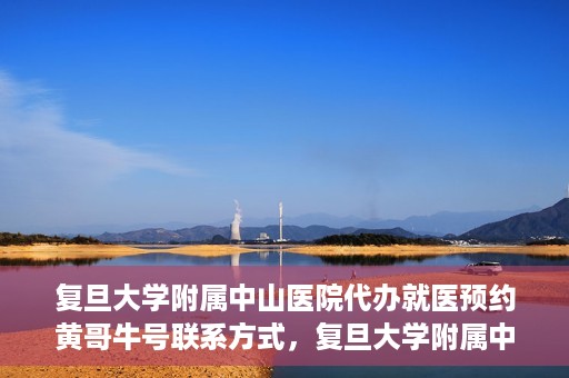复旦大学附属中山医院代办就医预约黄哥牛号联系方式，复旦大学附属中山医院就医预约代办服务，黄哥牛号联系方式全解析