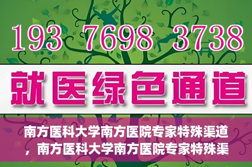 南方医科大学南方医院专家特殊渠道，南方医科大学南方医院专家特殊渠道解析，专业服务的背后故事