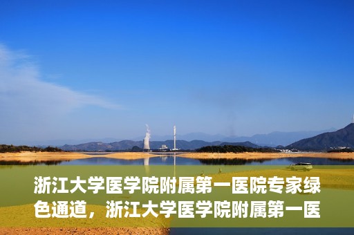 浙江大学医学院附属第一医院专家绿色通道，浙江大学医学院附属第一医院专家绿色通道，高效医疗服务的探索与实践