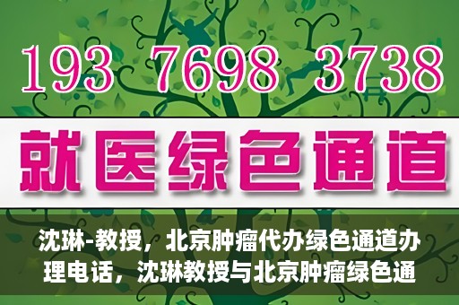沈琳-教授，北京肿瘤代办绿色通道办理电话，沈琳教授与北京肿瘤绿色通道，快速办理电话指南