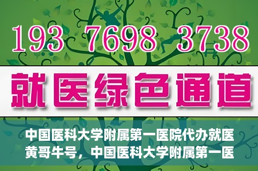 中国医科大学附属第一医院代办就医黄哥牛号，中国医科大学附属第一医院就医代办黄哥牛号服务解析