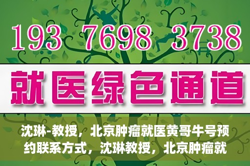 沈琳-教授，北京肿瘤就医黄哥牛号预约联系方式，沈琳教授，北京肿瘤就医预约攻略及黄哥牛号联系方式揭秘