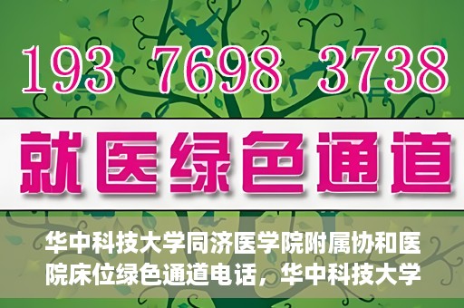 华中科技大学同济医学院附属协和医院床位绿色通道电话，华中科技大学同济医学院附属协和医院床位绿色通道咨询热线揭秘