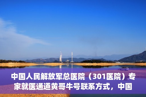 中国人民解放军总医院（301医院）专家就医通道黄哥牛号联系方式，中国人民解放军总医院专家就医通道黄哥牛号联系方式揭秘，权威医疗资源的便捷通道探索