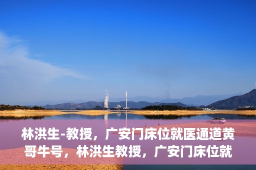 林洪生-教授，广安门床位就医通道黄哥牛号，林洪生教授，广安门床位就医绿色通道揭秘——黄哥牛号引领就医新纪元