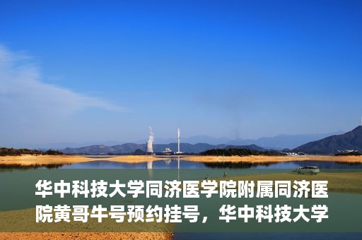 华中科技大学同济医学院附属同济医院黄哥牛号预约挂号，华中科技大学同济医院黄哥牛号预约挂号攻略