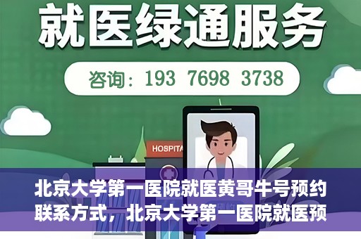 北京大学第一医院就医黄哥牛号预约联系方式，北京大学第一医院就医预约攻略，黄哥牛号预约联系方式揭秘
