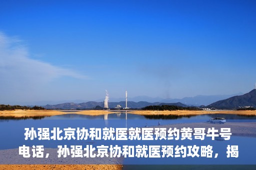 孙强北京协和就医就医预约黄哥牛号电话，孙强北京协和就医预约攻略，揭秘黄哥牛号预约电话