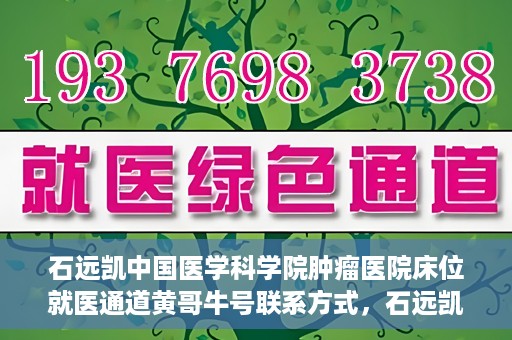 石远凯中国医学科学院肿瘤医院床位就医通道黄哥牛号联系方式，石远凯教授，中国医学科学院肿瘤医院床位就医指南与联系方式揭秘