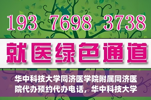 华中科技大学同济医学院附属同济医院代办预约代办电话，华中科技大学同济医院预约代办服务热线解析