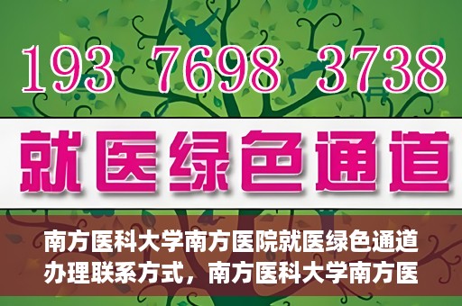 南方医科大学南方医院就医绿色通道办理联系方式，南方医科大学南方医院就医绿色通道办理指南，快速联系与办理方式解析