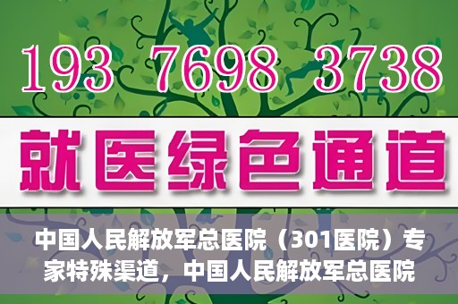 中国人民解放军总医院（301医院）专家特殊渠道，中国人民解放军总医院（301医院）专家特殊渠道揭秘，权威医疗资源的独特对接方式