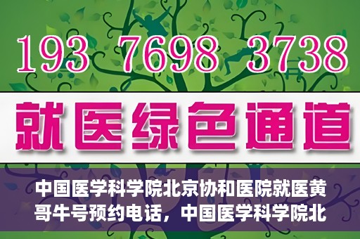 中国医学科学院北京协和医院就医黄哥牛号预约电话，中国医学科学院北京协和医院就医黄哥牛号预约电话详解及指南