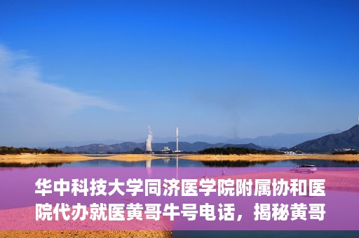 华中科技大学同济医学院附属协和医院代办就医黄哥牛号电话，揭秘黄哥牛号电话背后的华中科技大学同济医学院附属协和医院代办就医服务内幕