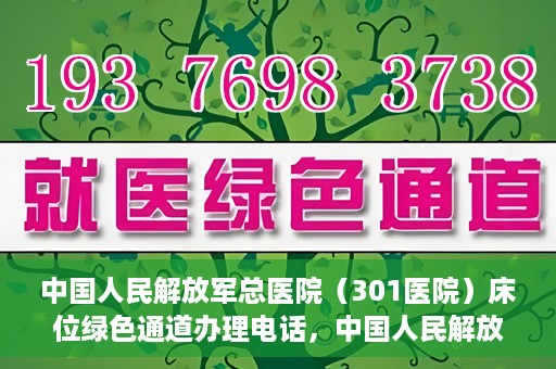 中国人民解放军总医院（301医院）床位绿色通道办理电话，中国人民解放军总医院床位绿色通道咨询热线及办理流程解析