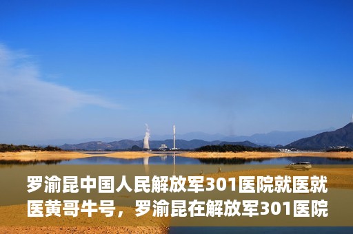 罗渝昆中国人民解放军301医院就医就医黄哥牛号，罗渝昆在解放军301医院就医经历，黄哥牛号背后的故事