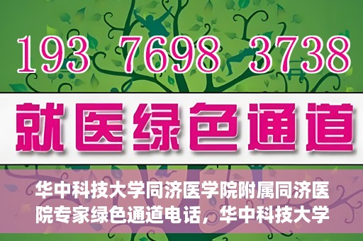 华中科技大学同济医学院附属同济医院专家绿色通道电话，华中科技大学同济医院专家绿色通道联系电话揭秘