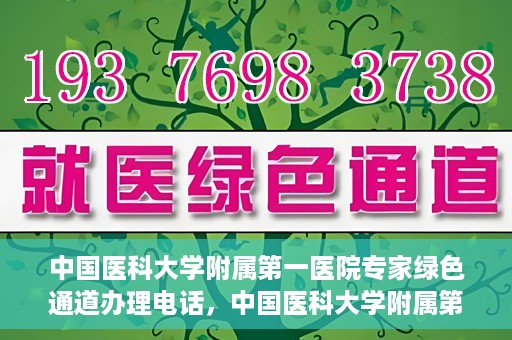 中国医科大学附属第一医院专家绿色通道办理电话，中国医科大学附属第一医院专家绿色通道服务热线电话揭秘