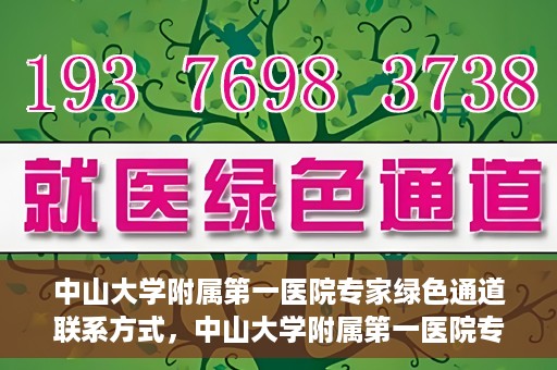 中山大学附属第一医院专家绿色通道联系方式，中山大学附属第一医院专家绿色通道联系指南，一站式解决您的健康需求