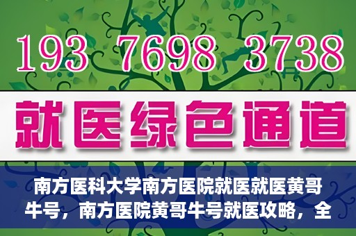 南方医科大学南方医院就医就医黄哥牛号，南方医院黄哥牛号就医攻略，全方位解析就医流程与体验