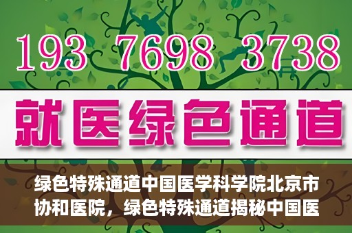 绿色特殊通道中国医学科学院北京市协和医院，绿色特殊通道揭秘中国医学科学院北京市协和医院的力量与担当