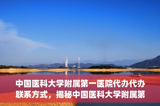 中国医科大学附属第一医院代办代办联系方式，揭秘中国医科大学附属第一医院代办联系方式，权威医疗服务的便捷通道