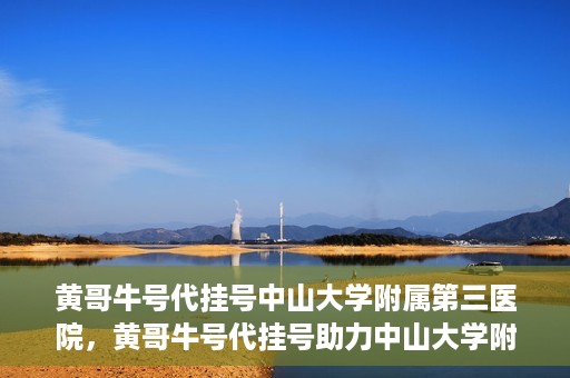 黄哥牛号代挂号中山大学附属第三医院，黄哥牛号代挂号助力中山大学附属第三医院就医便捷化