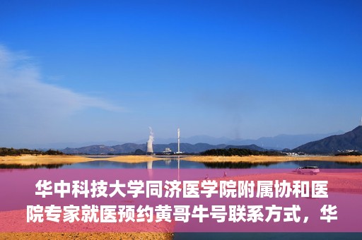 华中科技大学同济医学院附属协和医院专家就医预约黄哥牛号联系方式，华中科技大学同济医学院附属协和医院专家预约挂号联系方式及黄哥牛号就医指南
