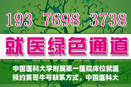 中国医科大学附属第一医院床位就医预约黄哥牛号联系方式，中国医科大学附属第一医院床位预约联系方式揭秘，黄哥牛号就医指南