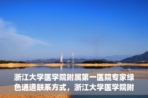 浙江大学医学院附属第一医院专家绿色通道联系方式，浙江大学医学院附属第一医院专家绿色通道联系指南，一站式解决您的健康咨询需求