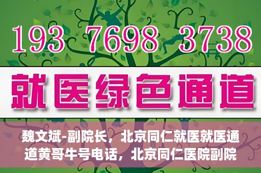 魏文斌-副院长，北京同仁就医就医通道黄哥牛号电话，北京同仁医院副院长魏文斌，就医通道揭秘与黄哥牛号电话解读