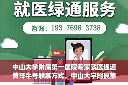 中山大学附属第一医院专家就医通道黄哥牛号联系方式，中山大学附属第一医院专家就医通道，黄哥牛号联系方式全解析