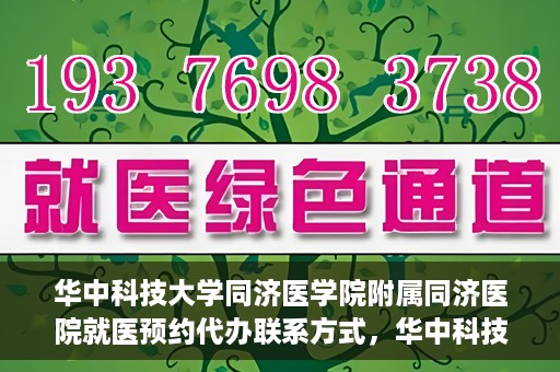 华中科技大学同济医学院附属同济医院就医预约代办联系方式，华中科技大学同济医学院附属同济医院就医预约代办服务指南，一键预约，轻松就医联系渠道全解析