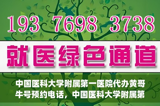 中国医科大学附属第一医院代办黄哥牛号预约电话，中国医科大学附属第一医院预约挂号代办服务，黄哥牛号预约电话详解