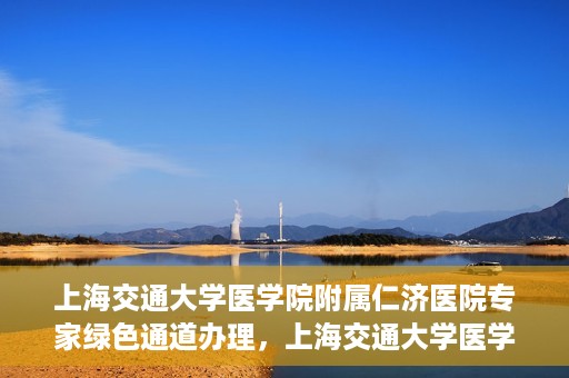 上海交通大学医学院附属仁济医院专家绿色通道办理，上海交通大学医学院附属仁济医院专家绿色通道办理详解与攻略