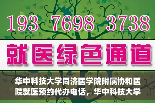 华中科技大学同济医学院附属协和医院就医预约代办电话，华中科技大学同济医学院附属协和医院就医预约代办服务热线详解
